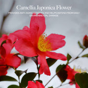 Neck & Décolleté Cream